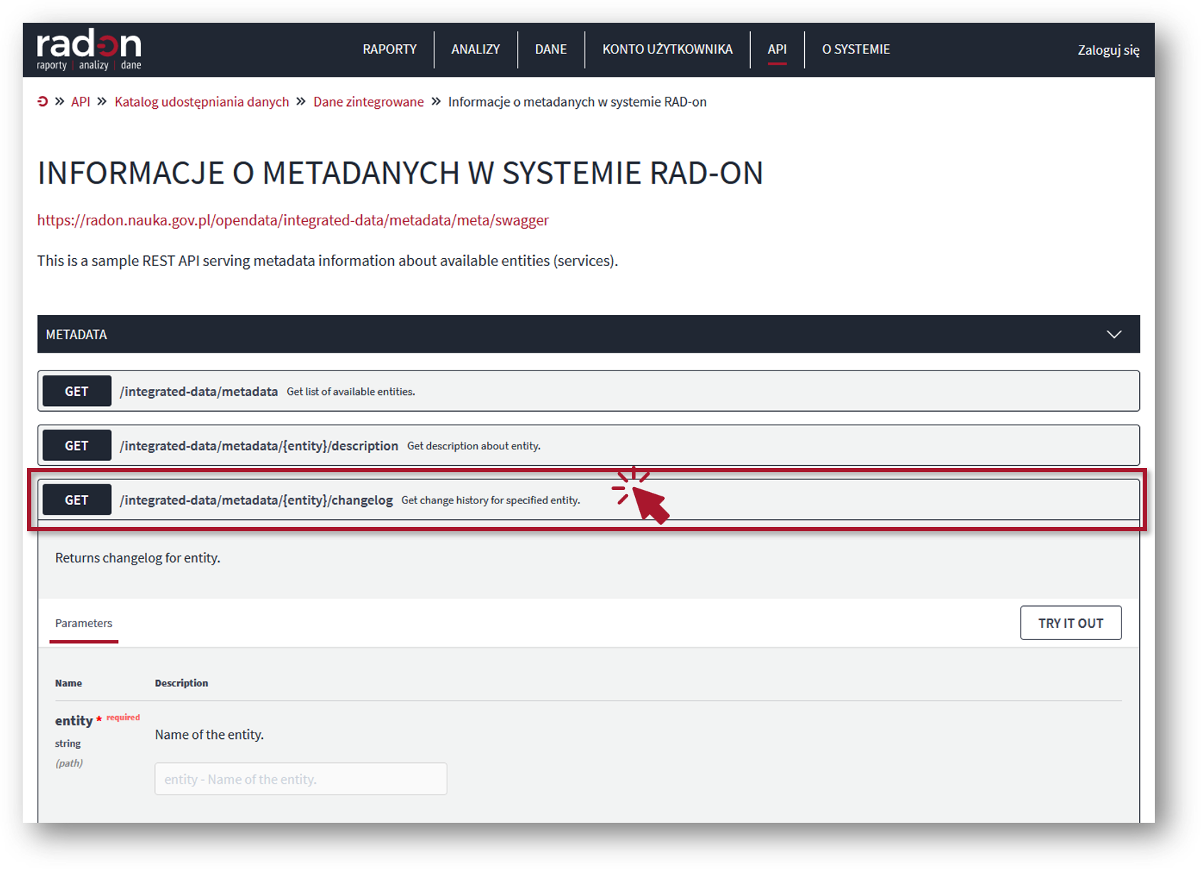 Od czego zacząć prace z API? – RAD-on: Centrum Pomocy